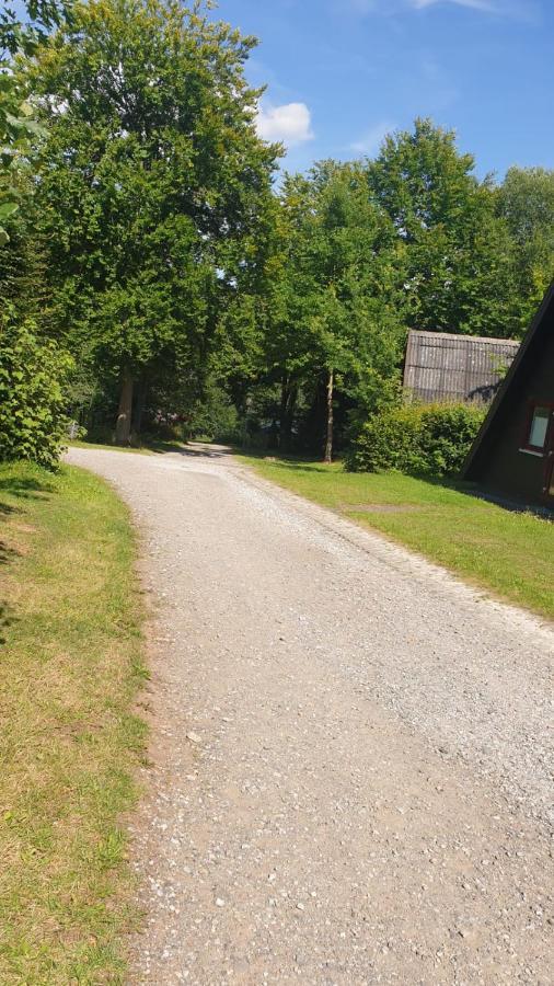 Ferienhaus Nr. 60 Im Ferienpark Am Twistesee Bad Arolsen Exterior photo